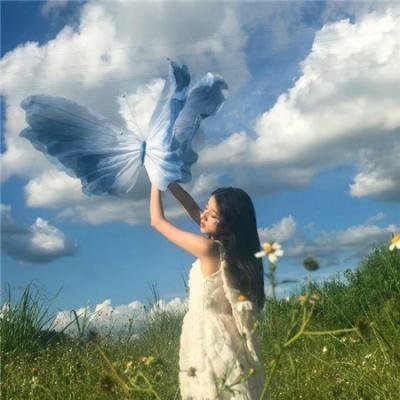 山茶花飘零